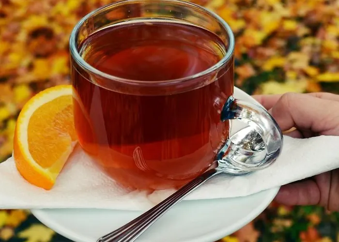 Centrum Wypoczynkowo-konferencyjne Zacisze リゾート