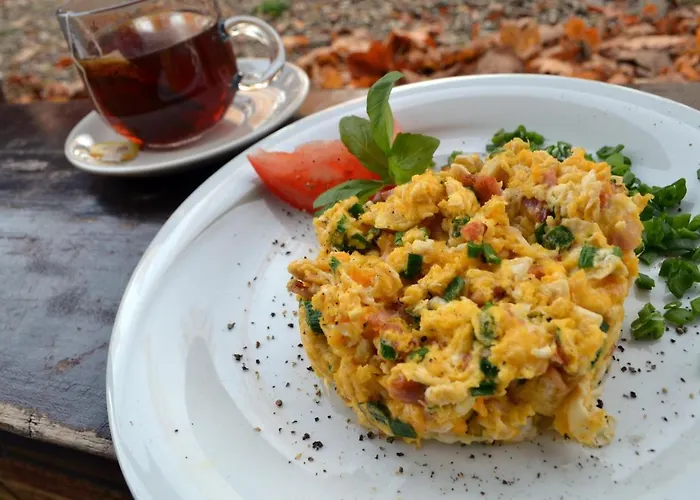 Centrum Wypoczynkowo-konferencyjne Zacisze リゾート